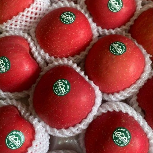 

BUAH APEL WANGSHAN FRESH / APEL WANGSAN PREMIUM SUPER 1 KG