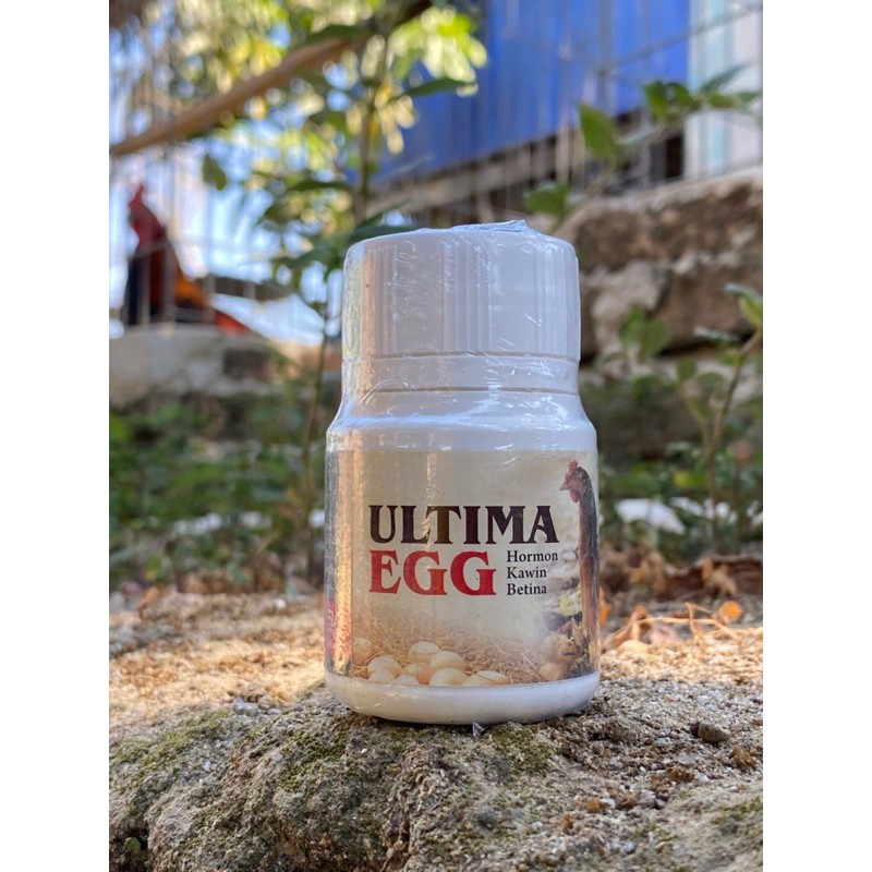 Ernov Ultima Hormon Kawin Untuk Ayam Betina