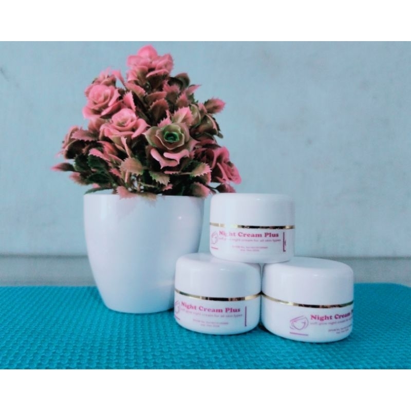L Beauty Night Cream Plus krim malam aman bpom untuk wajah yang susah putih cepat memutihkan tanpa m