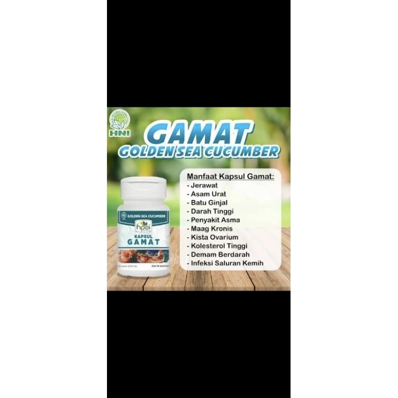 Gamat HNI
