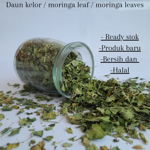 

Moringa leaf / daun kelor / moringa leaves