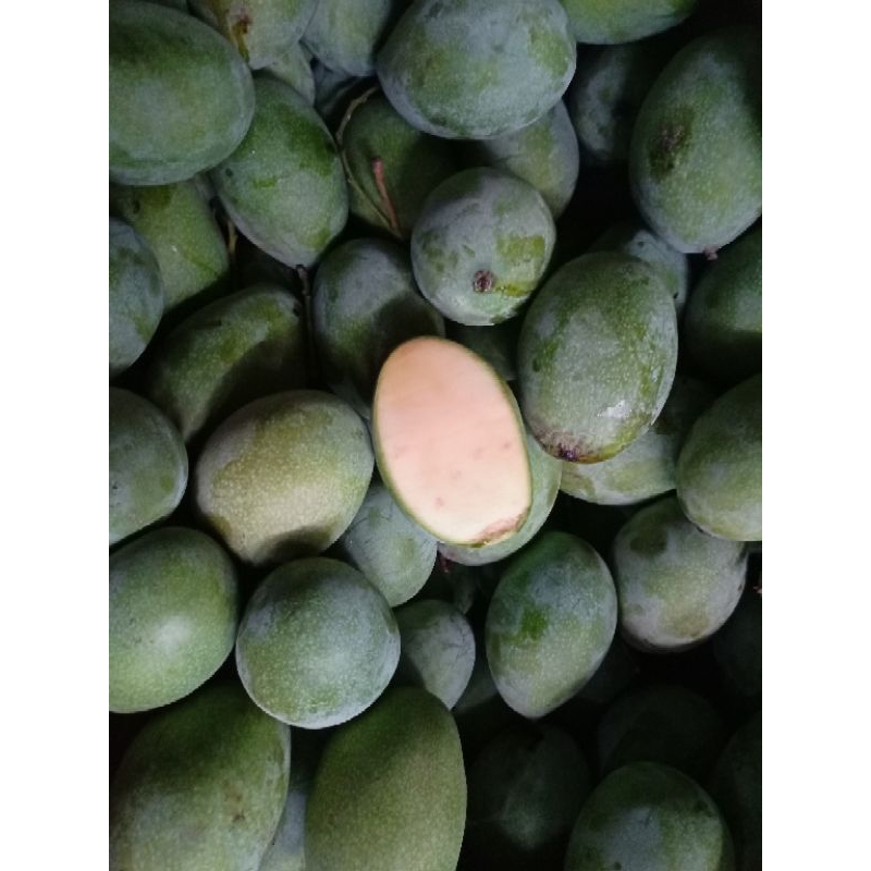

manggamanalagimadu