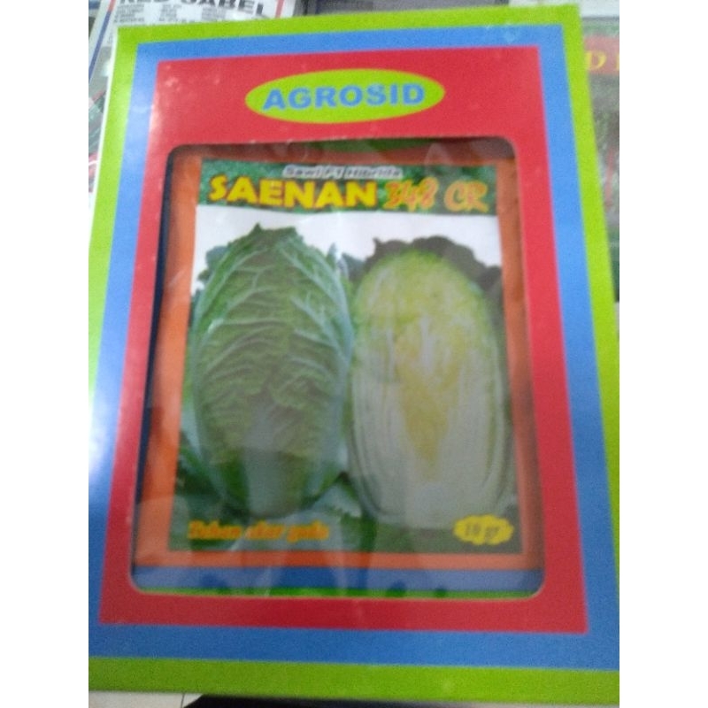 Benih Sawi Putih Saenan