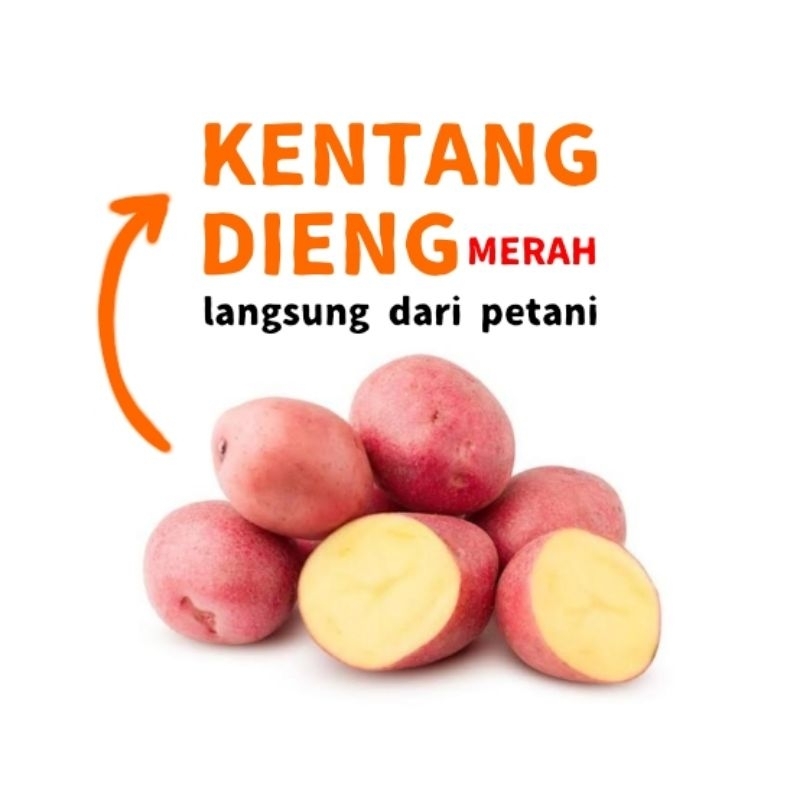 Kentang Dieng Merah ( LANGKA )