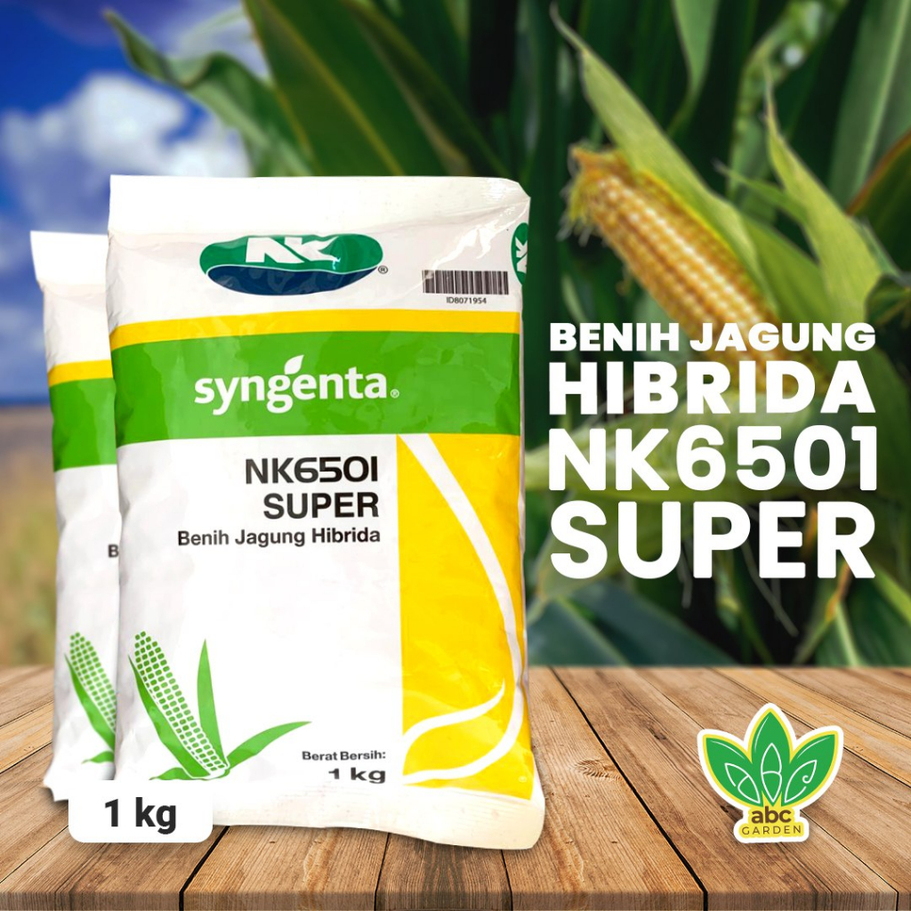 Benih Jagung Hibrida Super NK6501 1 Kg