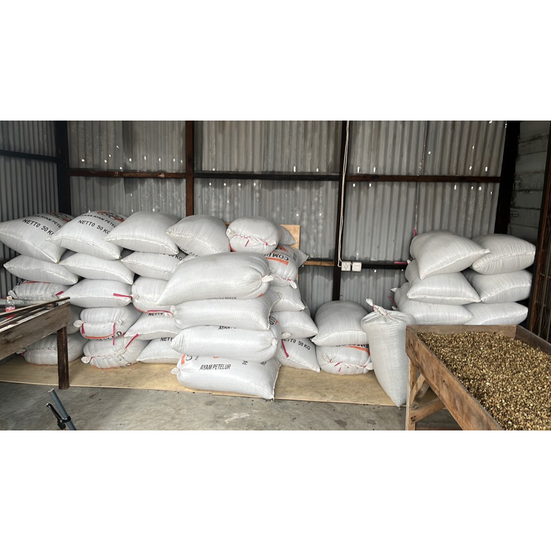 

Biji Kopi Robusta Kerinci