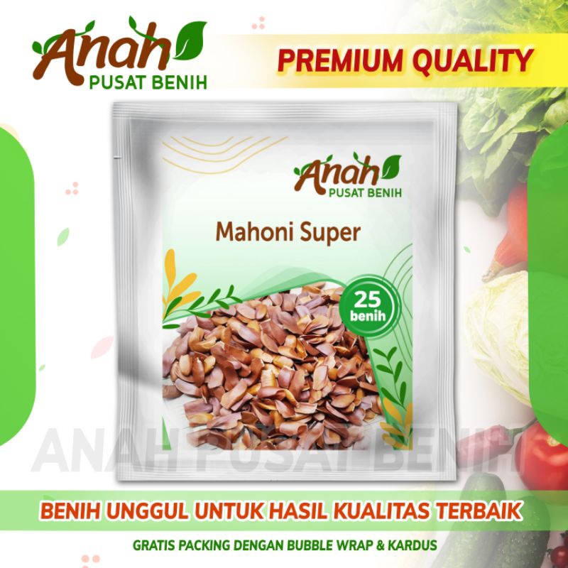 Benih mahoni super 25 Benih / Bibit mahoni / Biji mahoni