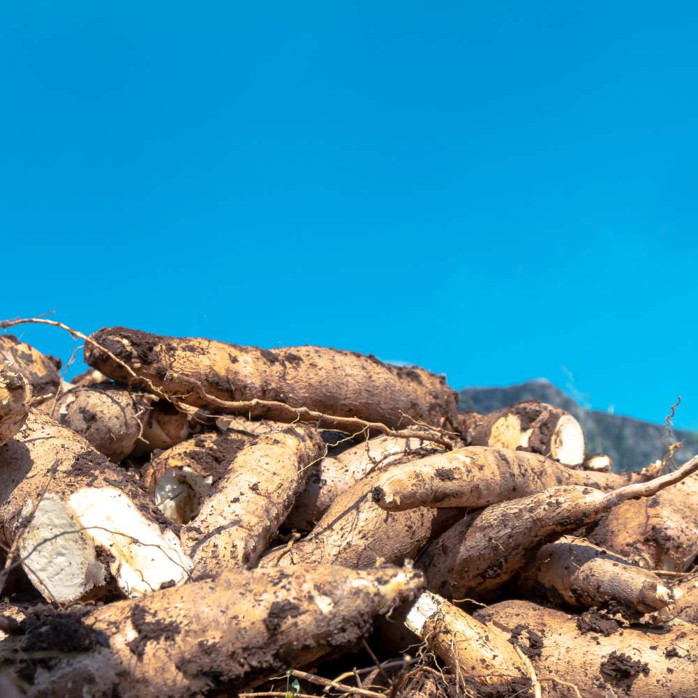 

Korzaln Cap Panda Kerupuk Singkong/Ceriping Singkong 500Gram