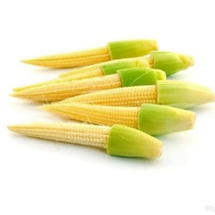 

Jagung Muda Acar Putren KULIT Baby Corn 500 gr