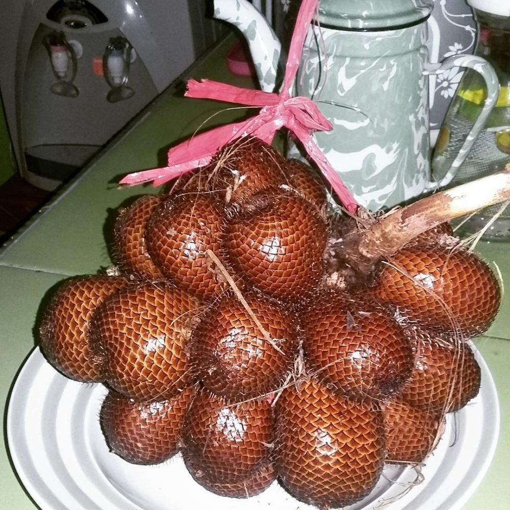 

Salak Sumedang