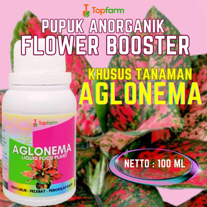 Pupuk Penyubur Tanaman Aglonema / Pupuk Tanaman Aglonema / Pupuk Dan Obat Tanaman Aglonema / Pupuk P