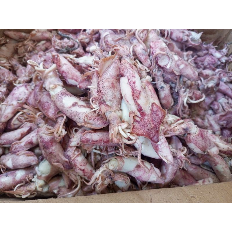 

ikan asin baby cumi asin/ cumi jarum / cumi rebus berat 500 gram