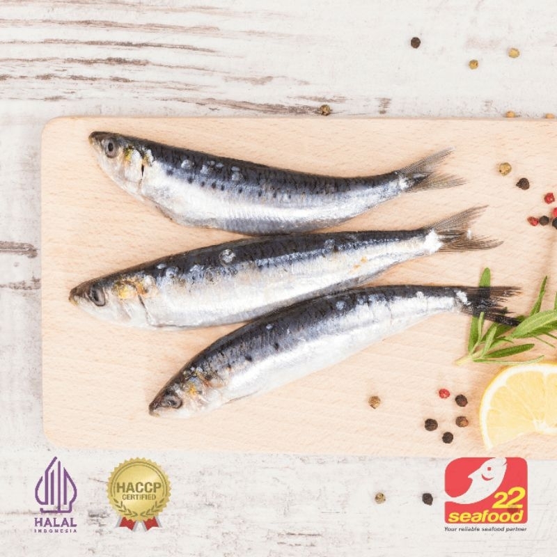 Ikan Sarden Lemuru 10 kg / Ikan Lemuru / Ikan Sarden / Ikan Lemuru Kecil / Ikan Utuh Beku  / Frozen 