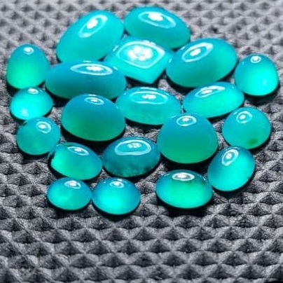 Bacan Bluish Borongan 20pcs