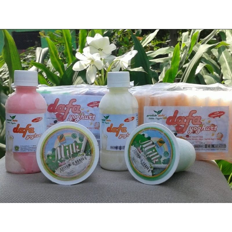

DaFa yoghurt