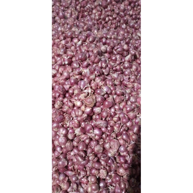 

bawang merah 1kg