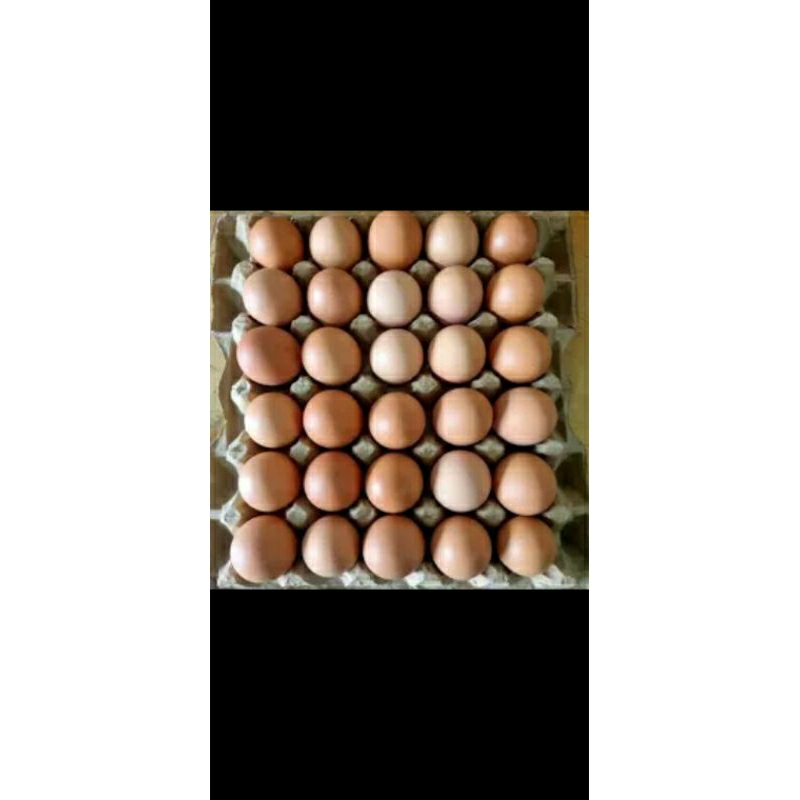 

telor ayam 1kg