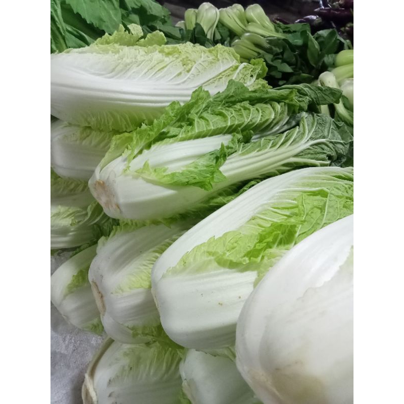 

sawi putih segar.Sayur sawi putih fresh 500 gr