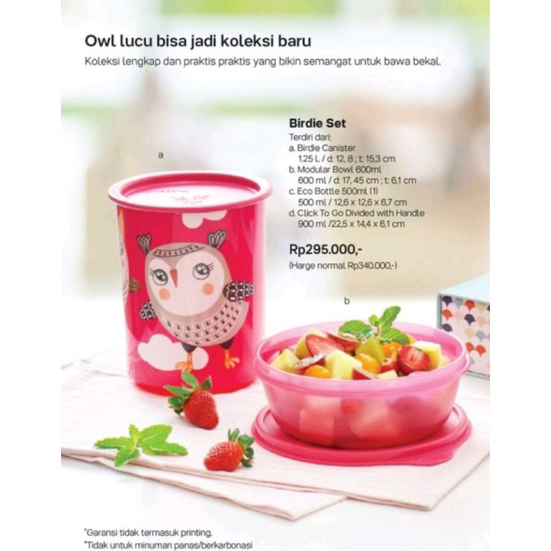 Birdie Set owl tupperware
