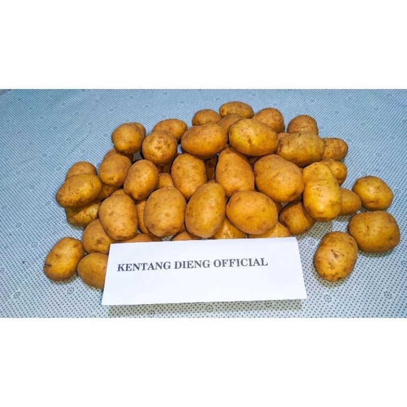 

Kentang Dieng Super/Besar