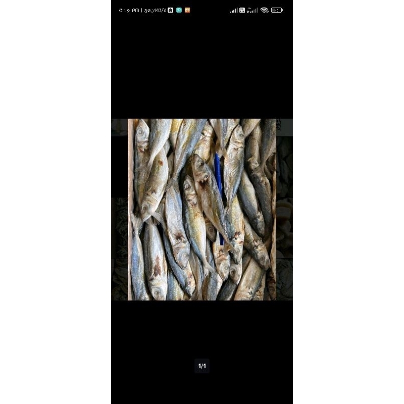 

ikan asin bolocot/layang 500gram (TERMURAH)