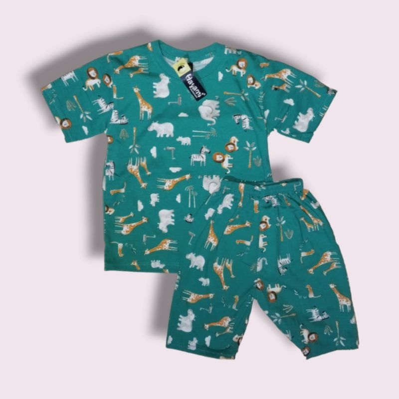 setelan hayami 10 12 14 16 18 20 || setelan anak cowok