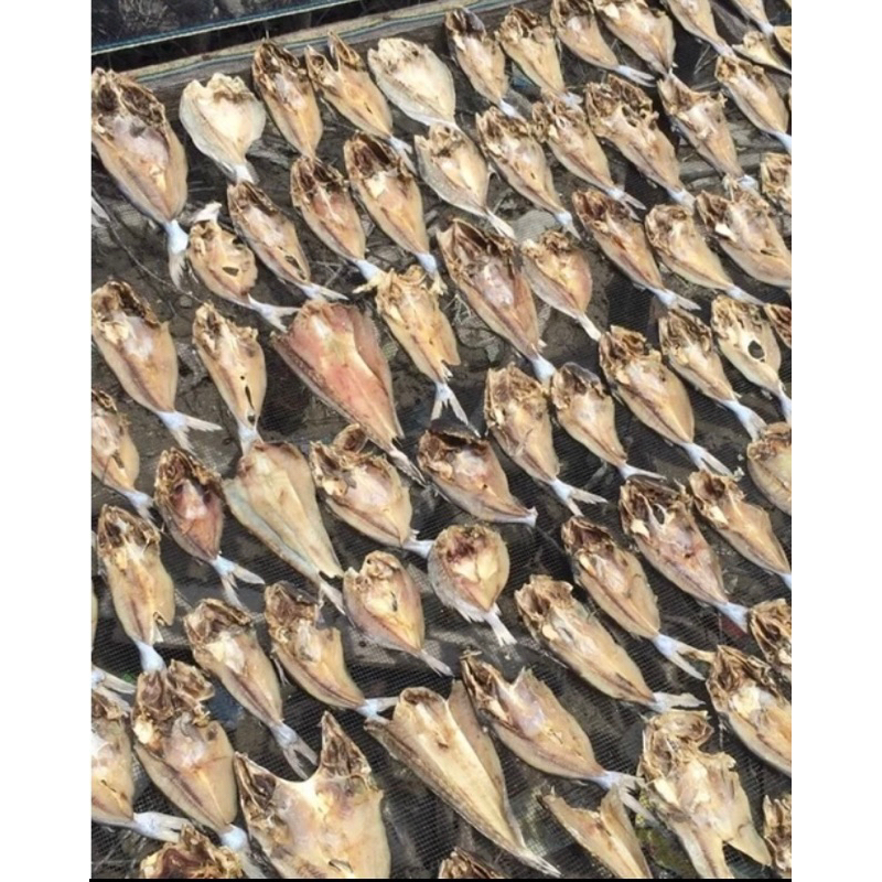 

Ikan asin jambal belah 500 gram