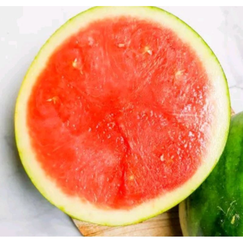 

Semangka tidak berbiji