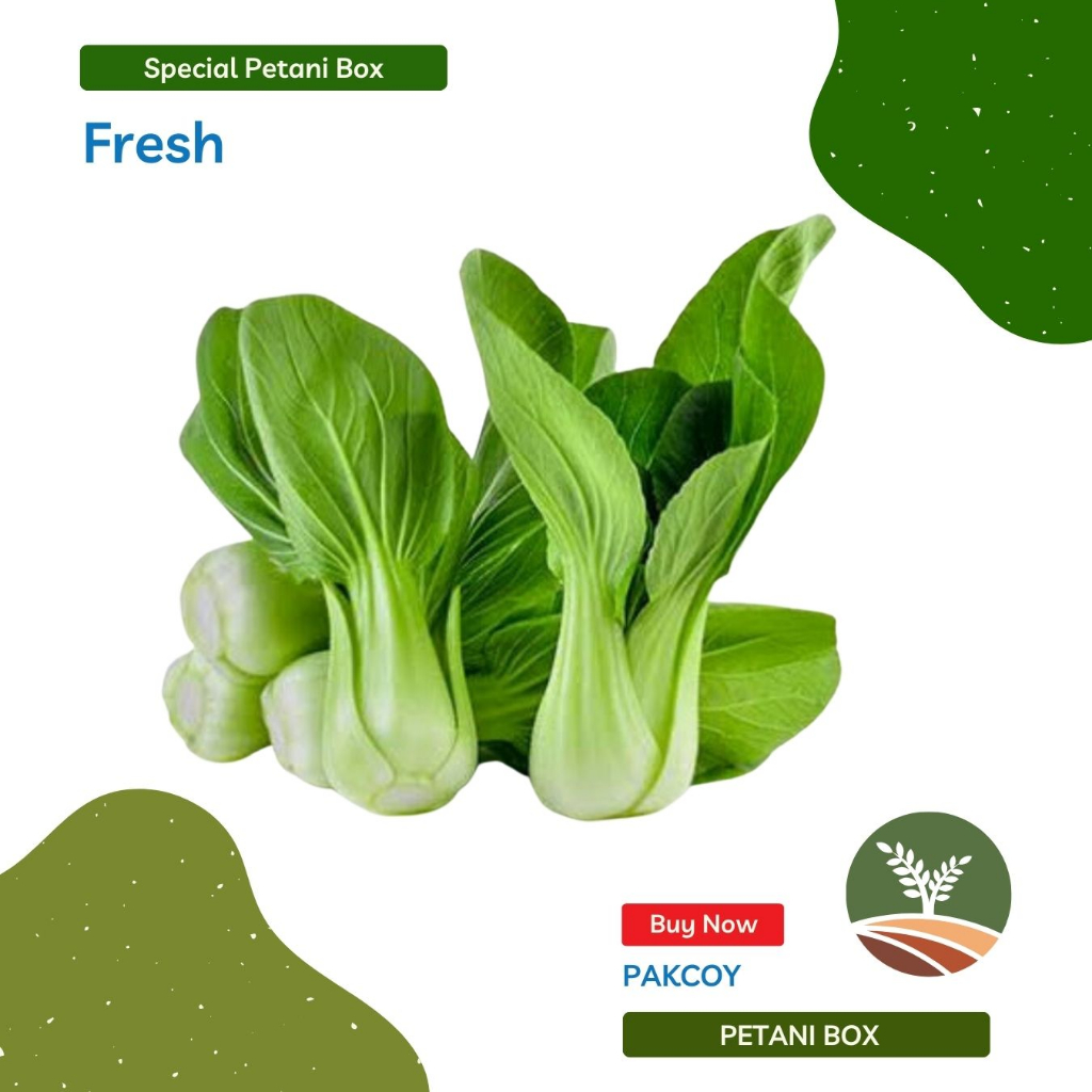 

Sayur Pakcoy Sayuran Segar Kota Bandung Petani Box