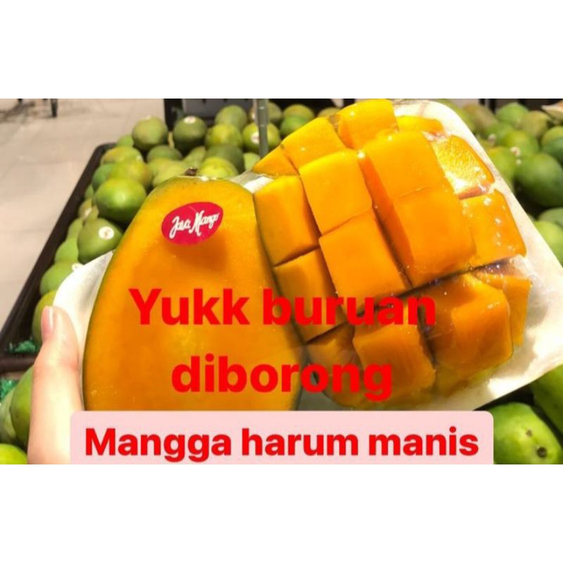 

Mangga harum manis matang pohon