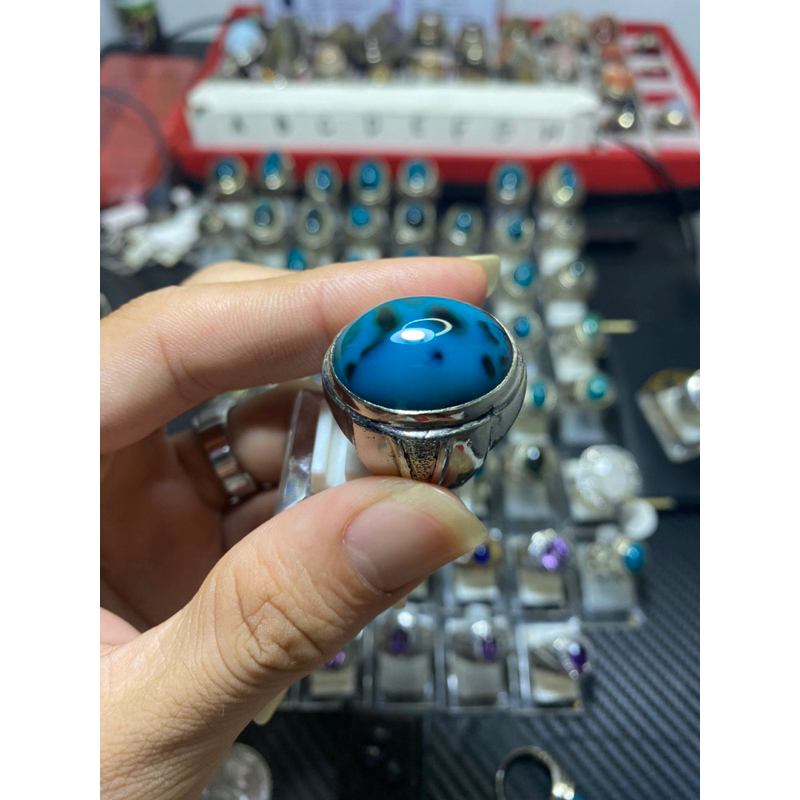 bacan doko totol coklat