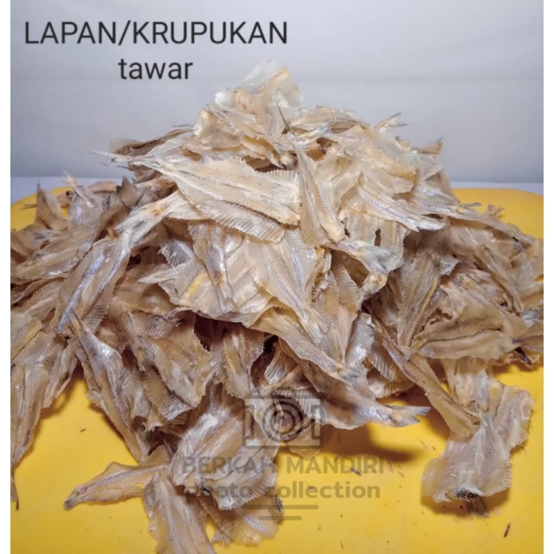 

lapan/krupukan/fillet