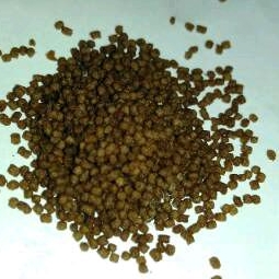 Makanan Ikan EXTRAVIT Micro Pellet Terapung / Floating