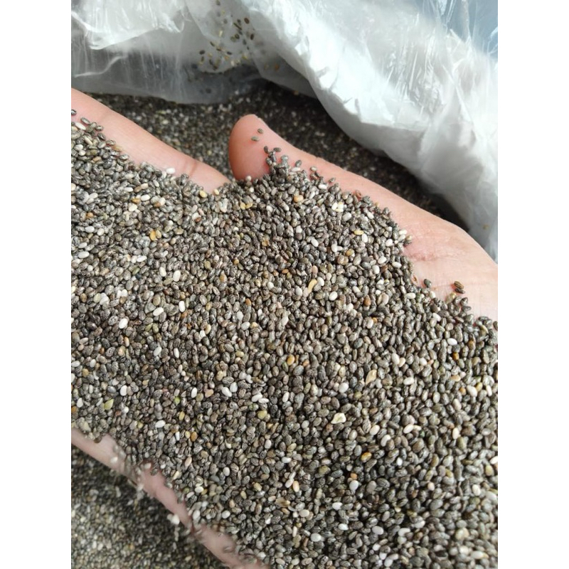 

[PROMO] BLACK CHIA SEED 1 KG PERU ORGANIC