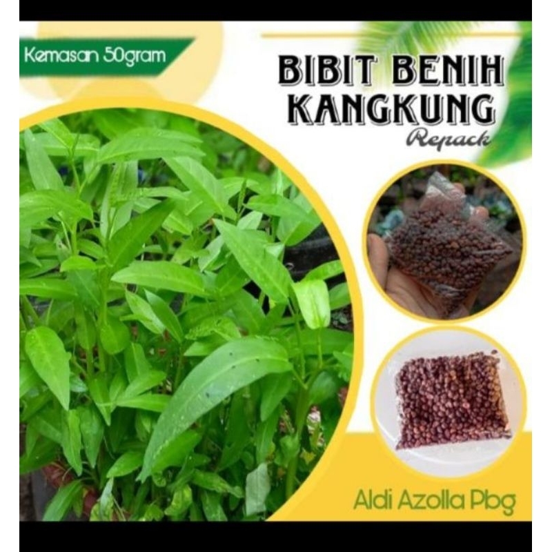bibit kangkung super, kangkung cabut, pangkas,hidroponik