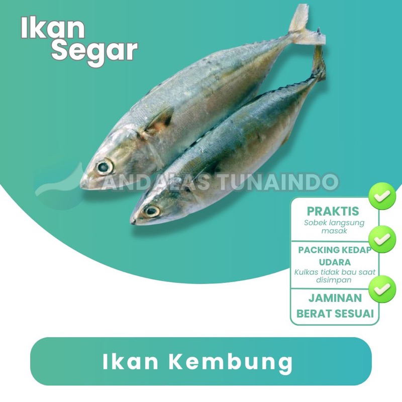 

Ikan Kembung Banjar