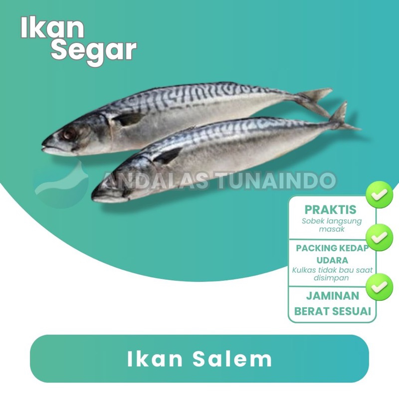 

Ikan Salem Import