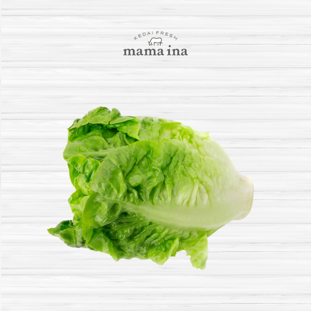 

Baby Cos Lettuce 250g