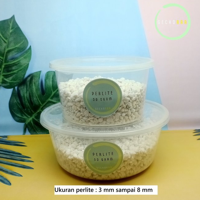 Perlite Media Inkubasi Telur Reptil Gecko