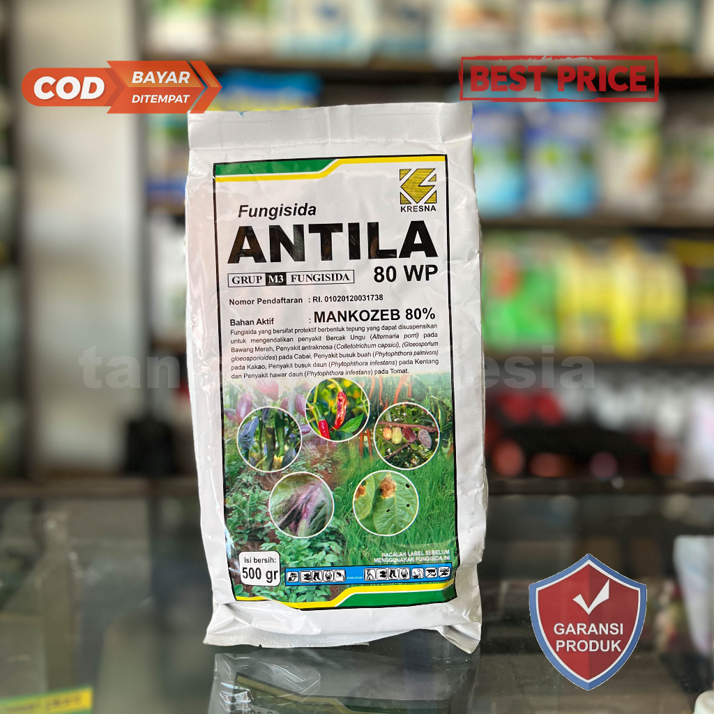 FUNGISIDA - ANTILA 80WP - 500 Gr