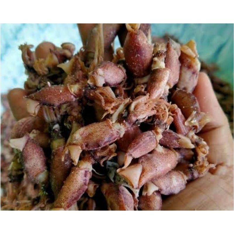 

Cumi Kering 500 gram