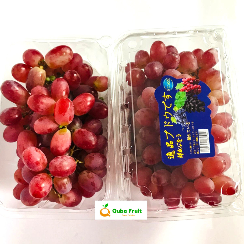 

Anggur Crimson Seedless Pack /Buah Anggur