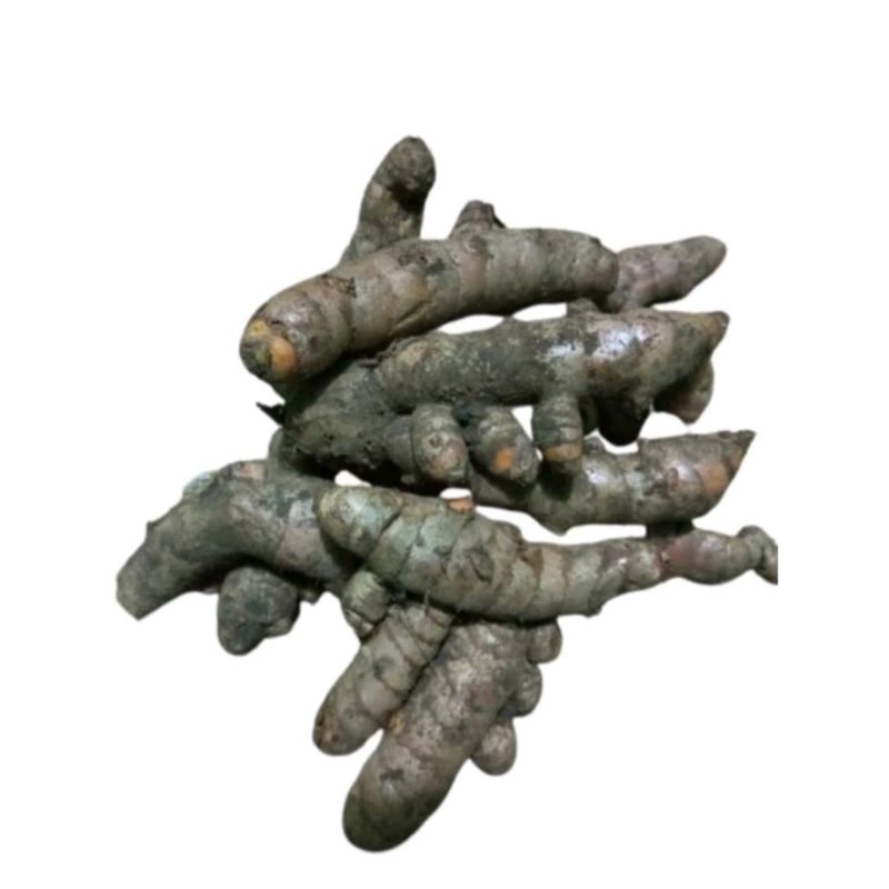 

kunyit basah 250 gr