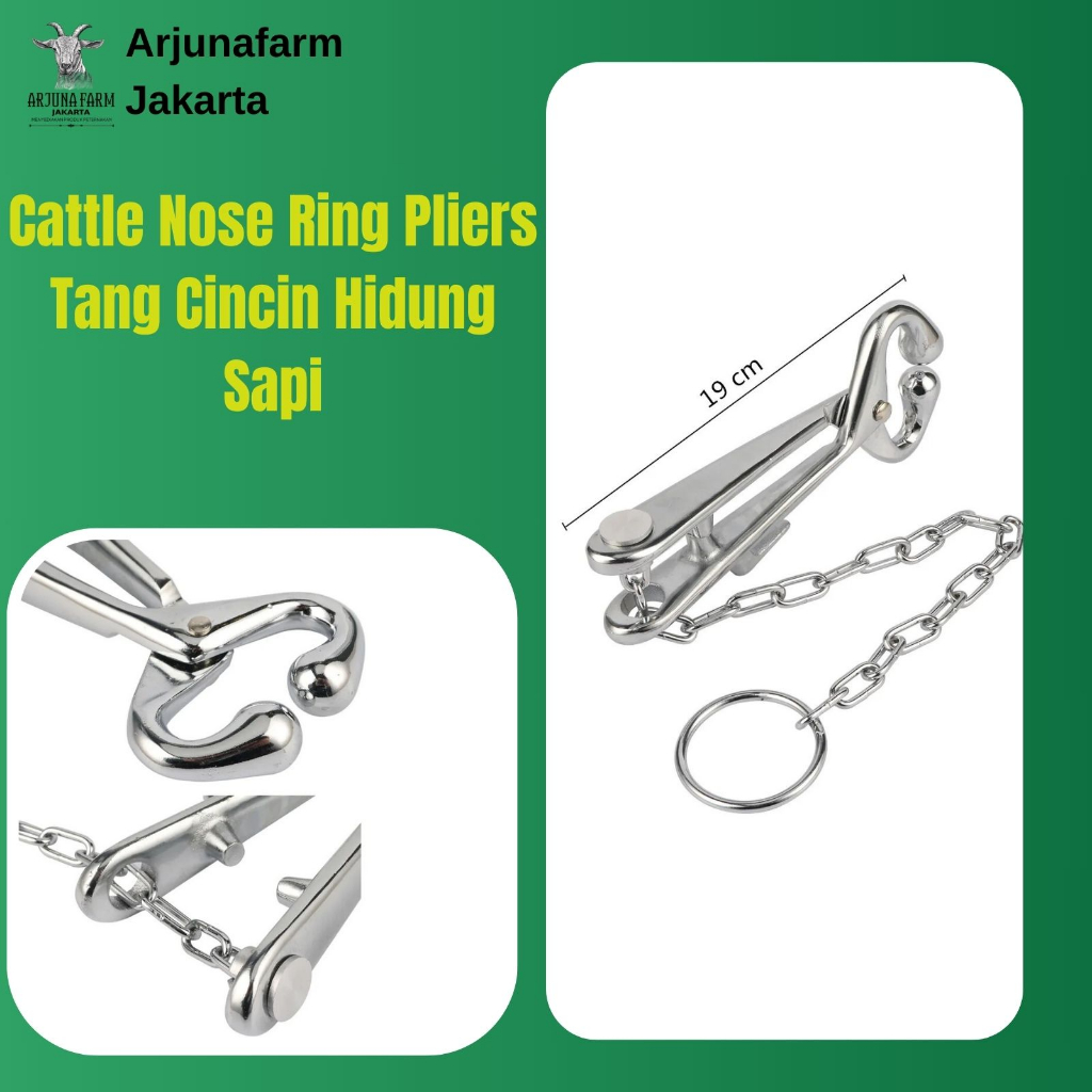 Cattle Nose Ring Pliers Tang Cincin Hidung Sapi Kerbau Tang Alat Tindik Hidung Sapi