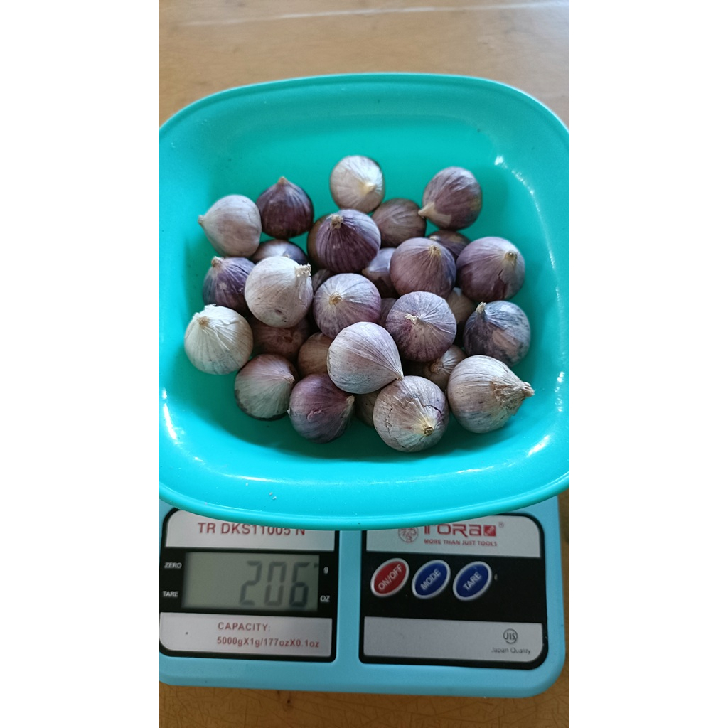 

BAWANG PUTIH TUNGGAL/LANANG SIZE JUMBO KEMASAN 200 gram