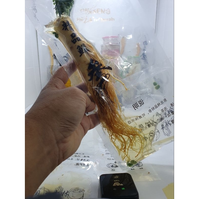 Ginseng PREMlUM Fres Import Asli Ukuran Jumbo 200gr