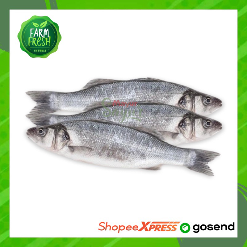 

KIRIM INSTAN Ikan Bandeng Segar / Berat 500 Gram