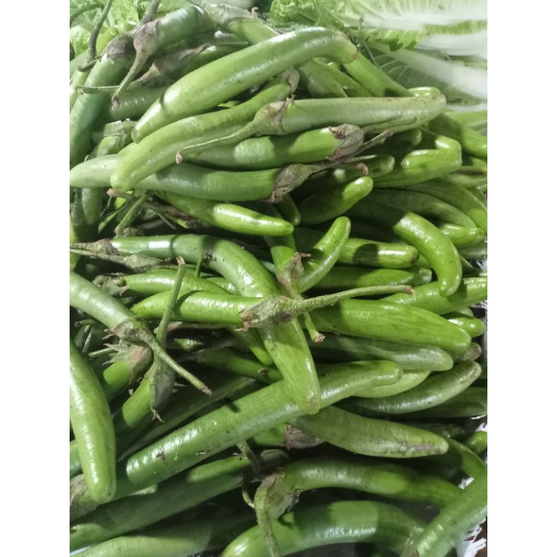 

Sayuran terong telunjuk.Sayuran terong tauco