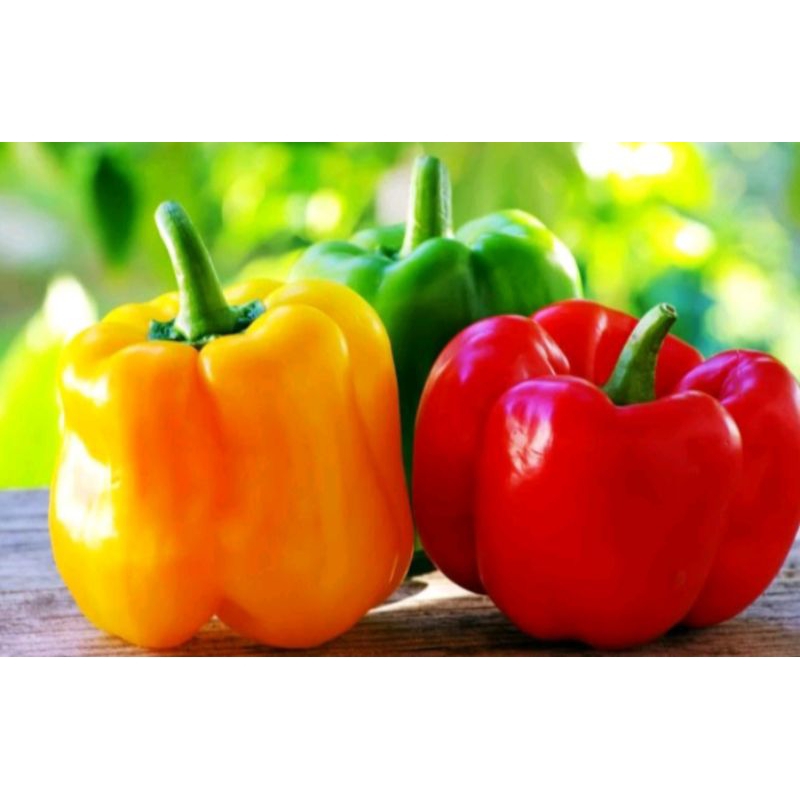 

Paprika 1 buah
