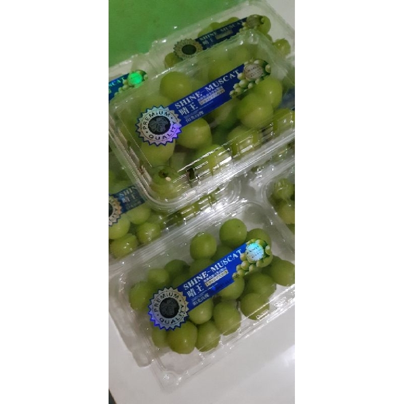 

Buah Anggur Muscat Segar Per Pack Anggur Hijau Muscat Fresh
